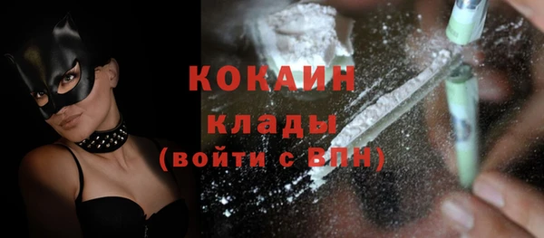 крисы Вяземский