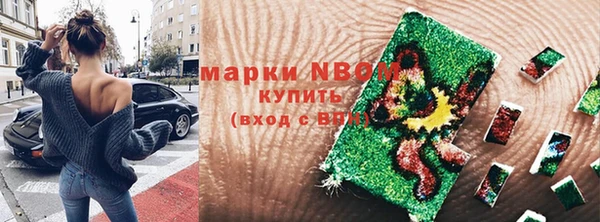 гидра Вязники