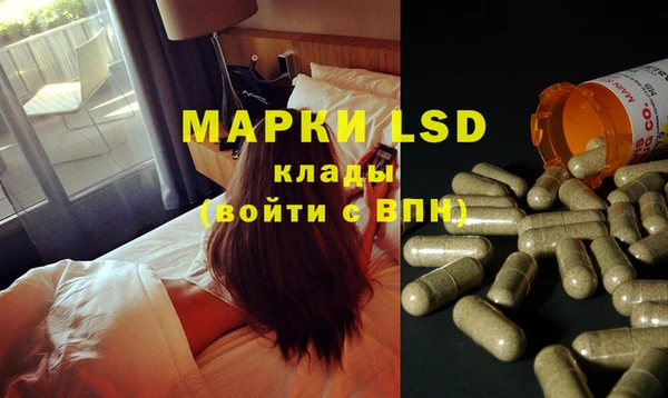 apvp Вязьма