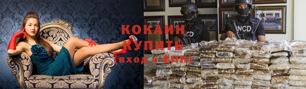 гидра Вязники